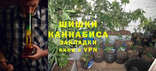 шишки Балахна