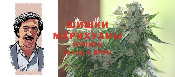 шишки Балахна